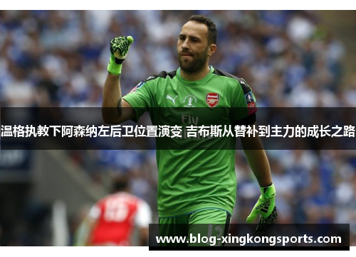 温格执教下阿森纳左后卫位置演变 吉布斯从替补到主力的成长之路