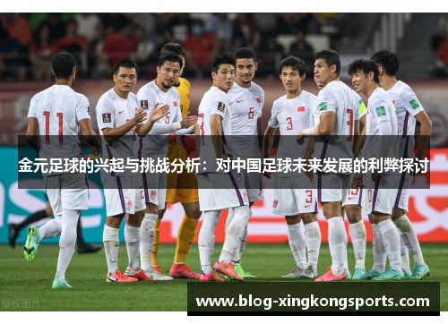 金元足球的兴起与挑战分析：对中国足球未来发展的利弊探讨