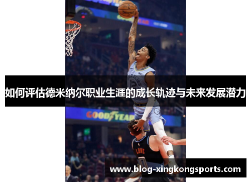 如何评估德米纳尔职业生涯的成长轨迹与未来发展潜力