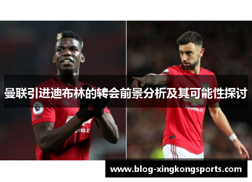曼联引进迪布林的转会前景分析及其可能性探讨