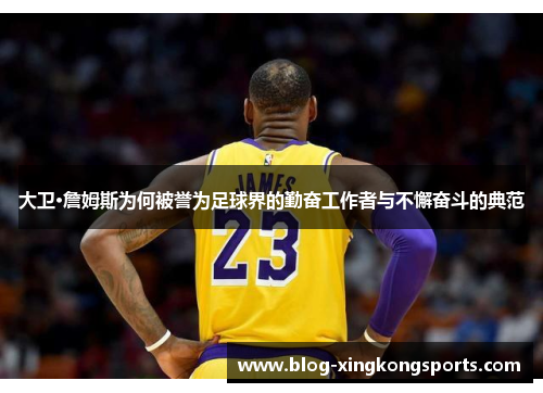 大卫·詹姆斯为何被誉为足球界的勤奋工作者与不懈奋斗的典范