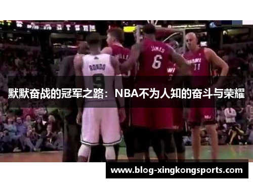 默默奋战的冠军之路：NBA不为人知的奋斗与荣耀