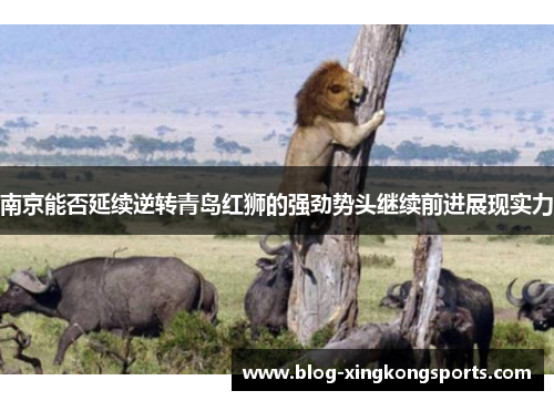 南京能否延续逆转青岛红狮的强劲势头继续前进展现实力